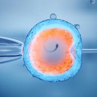 Best IVF Center in Bikaner Post Fri/Sep/2022 05:07:15